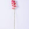 Artificial Flower 15*85CM Feeling  orchid*7 GS-31319028-P1
