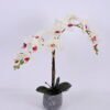 Artificial Flower Orchid in cement pot GS-06920069_3 Artificial Flower 49*17*57cm Orchid in cement pot GS-06920069