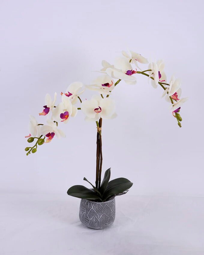 Artificial Flower Orchid in cement pot GS-06920069_3 Artificial Flower 49*17*57cm Orchid in cement pot GS-06920069
