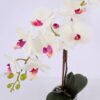 Artificial Flower Orchid in cement pot GS-06920069_5 Artificial Flower 49*17*57cm Orchid in cement pot GS-06920069