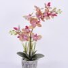 Artificial Flower 41*21*58cm Orchid in cement pot GS-06920070