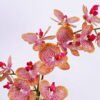 Artificial Flower 41*21*58cm Orchid in cement pot GS-06920070