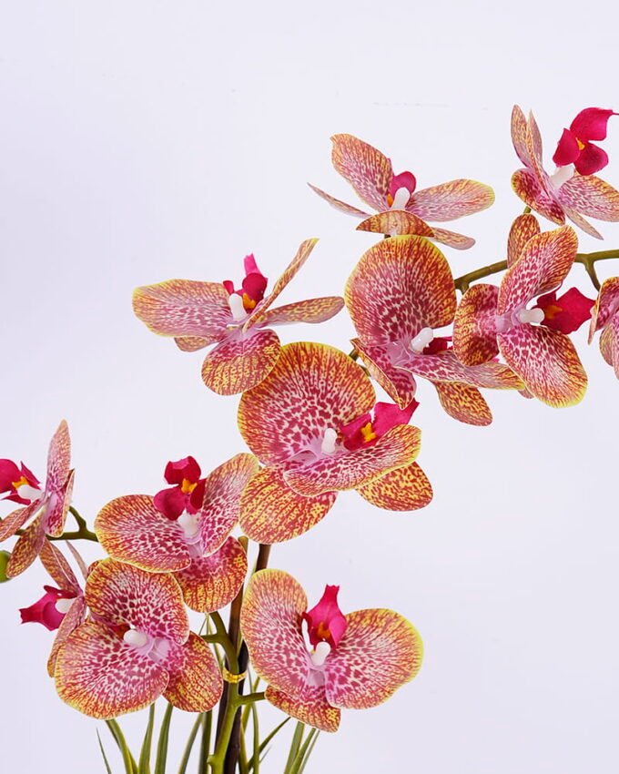 Artificial Flower 41*21*58cm Orchid in cement pot GS-06920070