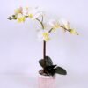 Artificial Flower 41*20*52cm Orchid in cement pot GS-06920072