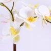 Artificial Flower 41*20*52cm Orchid in cement pot GS-06920072