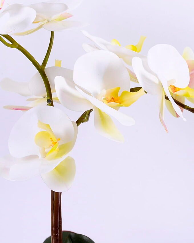 Artificial Flower 41*20*52cm Orchid in cement pot GS-06920072