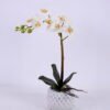 Artificial Flower Orchid in cement pot GS-06920075_5 Artificial Flower 22*10.5*39cm Orchid in cement pot GS-06920075