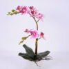 Artificial Flower Orchid in cement pot GS-06920076_5 Artificial Flower 20*20*35cm Orchid in cement pot GS-06920076