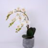 Artificial Flower 26*18*39cm Orchid in cement pot GS-06920077