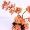 Artificial Flower 30*33*41cm Orchid in cement pot GS-06920078