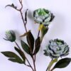Artificial Flower 20*80CM Peony Spray GS-26220076-B1