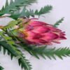 Artificial Flower 26*56CM Protea cynaroides GS-59020031-R1