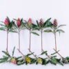 Artificial Flower 26*56CM Protea cynaroides GS-59020031-R1
