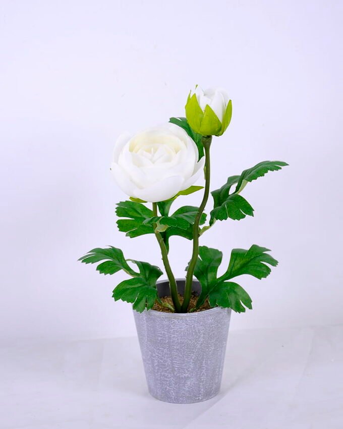 Artificial Flower Ranunculus in plastic pot GS-05520132-W1_2 Artificial Flower 16*12*29CM Ranunculus in plastic pot GS-05520132-W1