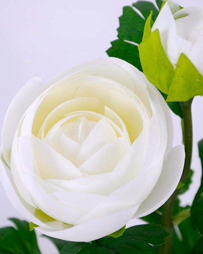 Artificial Flower Ranunculus in plastic pot GS-05520132-W1_4 Artificial Flower 16*12*29CM Ranunculus in plastic pot GS-05520132-W1