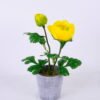 Artificial Flower Ranunculus in plastic pot GS-05520132-Y1_4 Artificial Flower 16*12*29CM Ranunculus in plastic pot GS-05520132-Y1