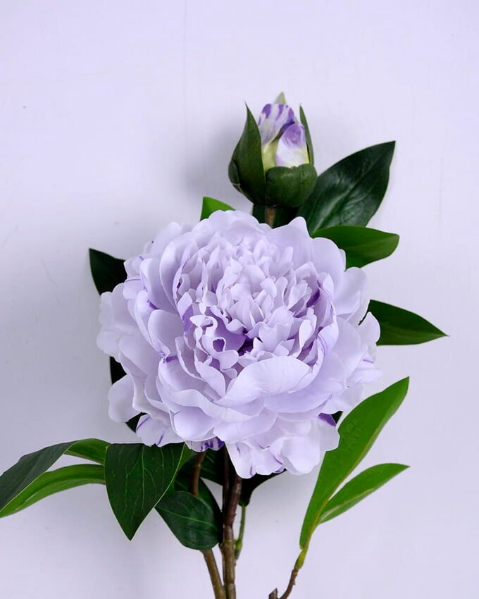 Artificial Flower 22*81CM Singel Peony*2 GS-39120021-Z1