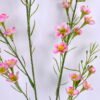 Artificial Flower 15*73CM Singel Wintersweet spray GS-39120006-P1