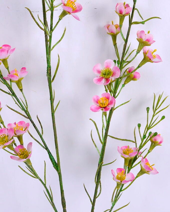 Artificial Flower 15*73CM Singel Wintersweet spray GS-39120006-P1