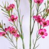Artificial Flower 15*73CM Singel Wintersweet spray GS-39120006-R2