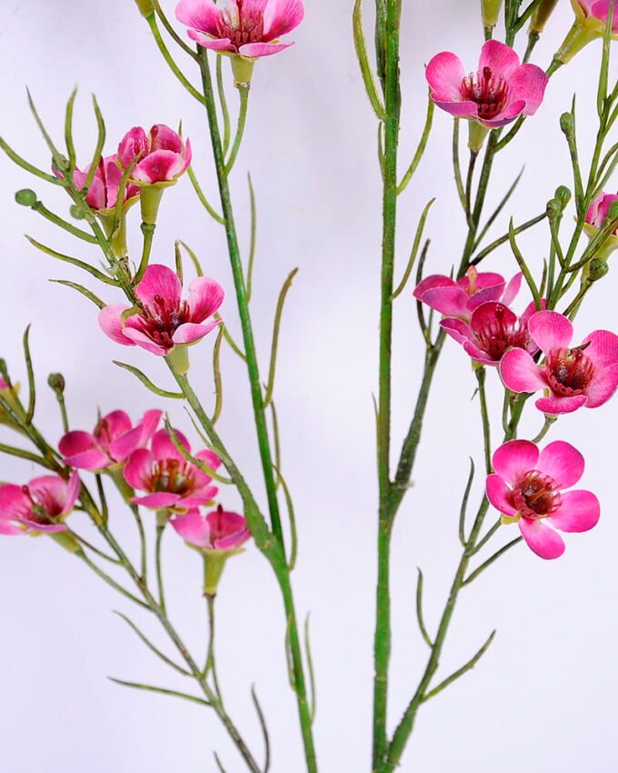 Artificial Flower 15*73CM Singel Wintersweet spray GS-39120006-R2