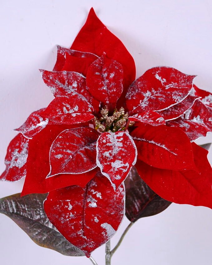 Artificial Flower 22*56CM Singel poinsettia GS-15420031