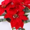 Artificial Flower 28*83CM Singel poinsettia spray*3 GS-15420043