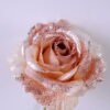 Artificial Flower 21*68CM Singel rose GS-15420032-P1