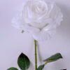 Artificial Flower Singel rose GS-15420032-W1_5 Artificial Flower 21*68CM Singel rose GS-15420032-W1
