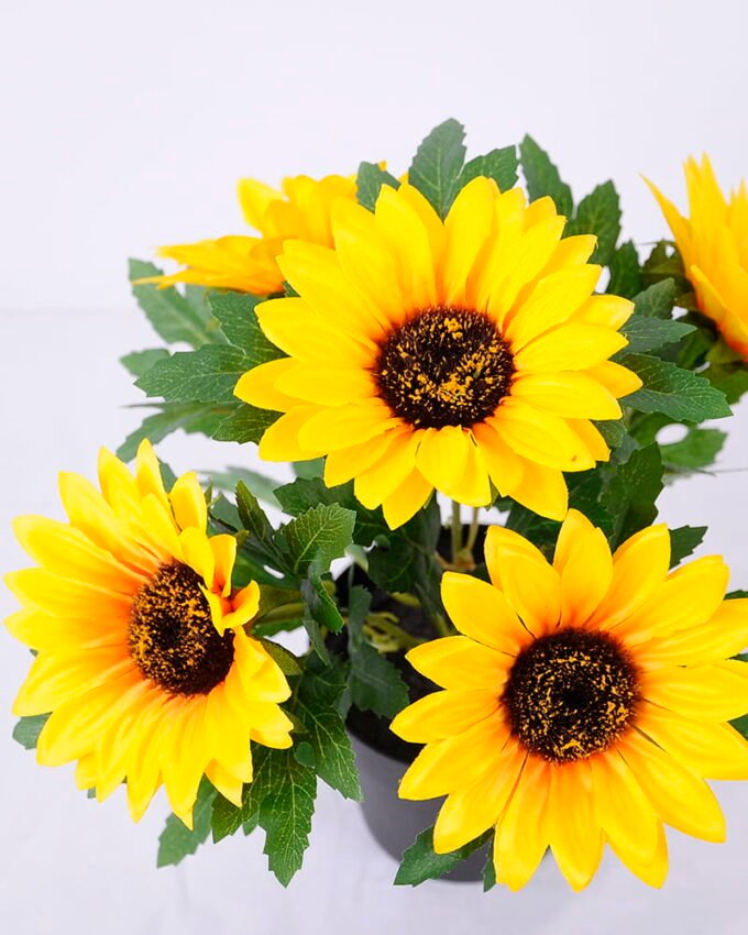 Artificial Flower Sunflower 5 in plastic pot GS-05520141_5 Artificial Flower 20*15*26CM Sunflower*5 in plastic pot GS-05520141