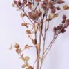 Artificial Flower 25*109cm Wild fruit spray GS-40720018-K2
