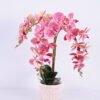 Artificial Flower rchid in cement pot GS-06920068_3 Artificial Flower 46*37*56cm rchid in cement pot GS-06920068