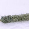 Artificial Grass 5*132cm Reeds spray GS-40720026-G1