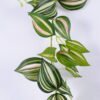 Artificial Plant 180CM Eyebrows /Lvs*112 GS-29820020