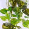 Artificial Plant 180CM Pothos /Lvs*112 GS-29820019