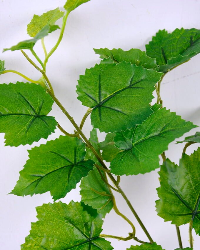 Artificial Plant 67CM Single grape  Lvs spray x3 GS-29820018CONTI