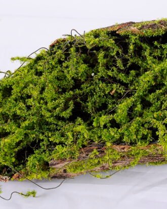 Artificial Plant 68*16*12CM Deadwood GS-61320001