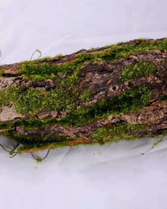 Artificial Plant 48*10.5*11CM Deadwood GS-61320002