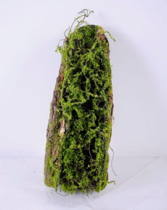 Artificial Plant 10.5*9*28CM Deadwood GS-61320003
