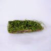 Artificial Plant 10.5*9*28CM Deadwood GS-61320003