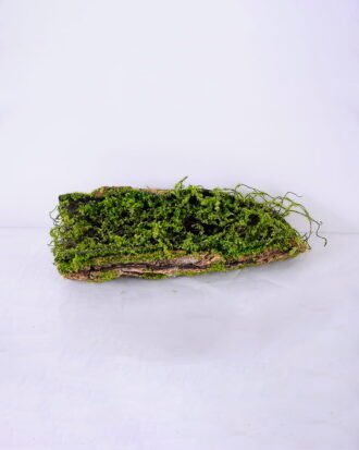 Artificial Plant 10.5*9*28CM Deadwood GS-61320003