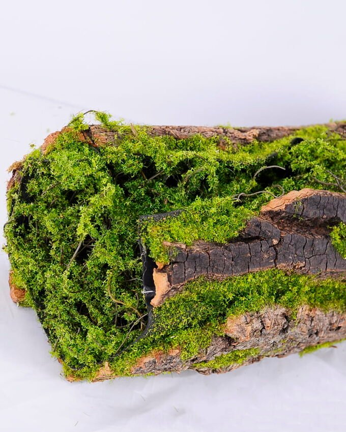 Artificial Plant 13*12*38CM Deadwood GS-61320011