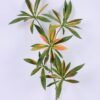 Artificial Plant 23*90cm Elaeocarpus hainanensis spray GS-39120028-K2