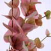 Artificial Plant 20*90CM Eucalyptus spray*9 GS-29820039