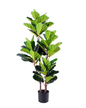 Artificial Plant 66*54*138CM Ficus in plastic pot/lvs56 GS-48520129