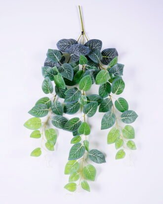 Artificial Plant 35*70CM Fittonia hanging GS-05520095 Leaves&Sprays&Foliages YeahFlower is one of Chinese leading OEM manufacturers and exporters , supplying the silk flowers, wholesale artificial trees Artificial Plant 35*70CM Fittonia hanging GS-05520095