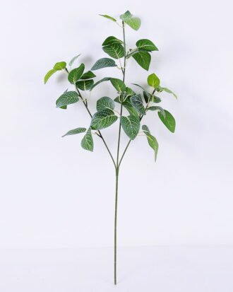 Artificial Plant 30*67CM Fittonia spray GS-05520107 Leaves&Sprays&Foliages YeahFlower is one of Chinese leading OEM manufacturers and exporters , supplying the silk flowers, wholesale artificial trees Artificial Plant 30*67CM Fittonia spray GS-05520107