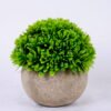 Artificial Plant 11.5*11.5*12cm Grass In Paper Pot GS-38920006