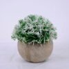 Artificial Plant 11.5*11.5*12cm Grass In Paper Pot GS-38920008