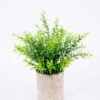 Artificial Plant 18*18*22cm Grass In Paper Pot GS-38920009